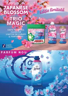 Ofertele Diana valabile de la 01.10.2026 | Pagină: 13