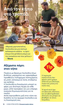  | Σελίδα: 10