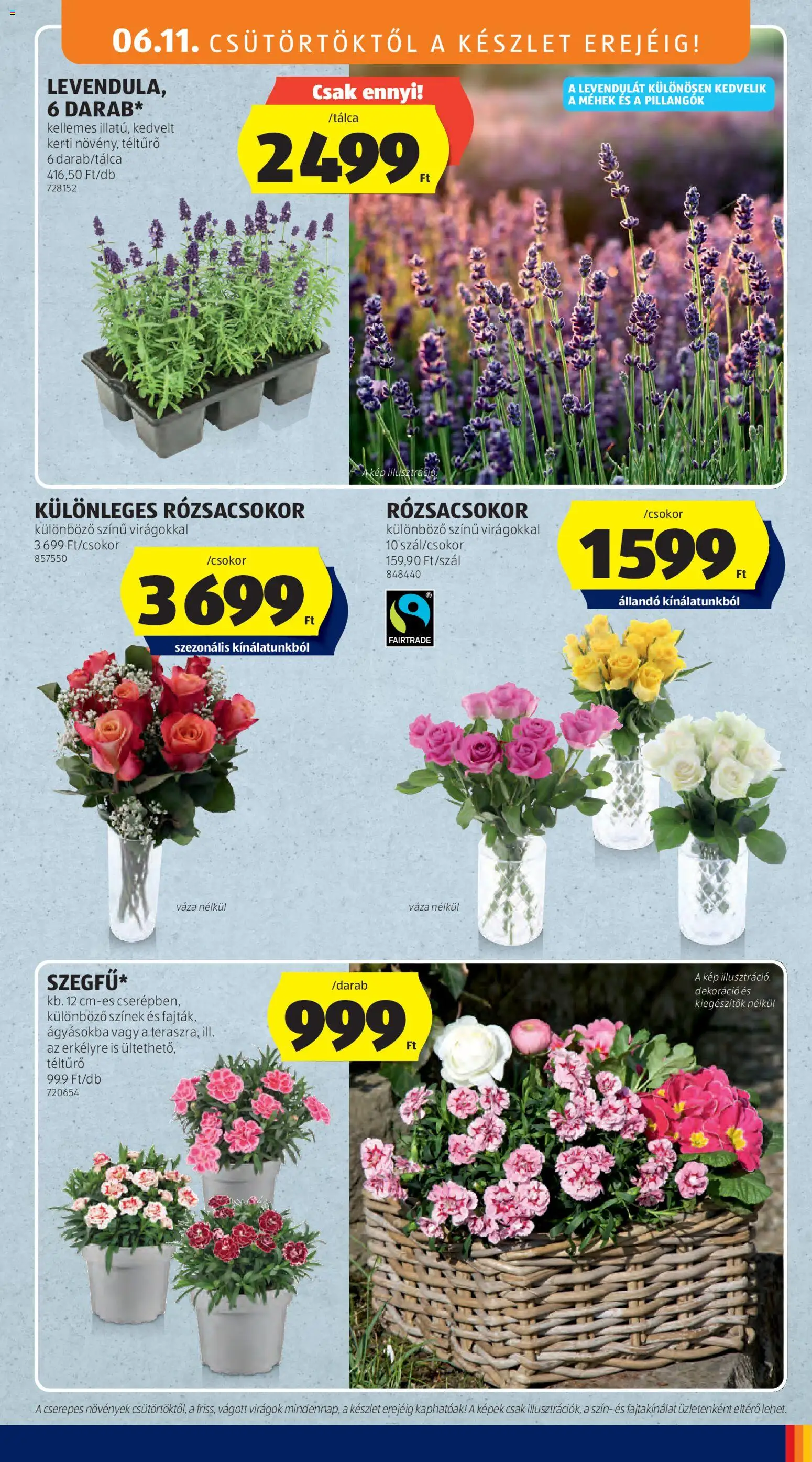 Aldi akciós ujság - amely érvényes a következő dátumtól: 11.06.2026 | Oldal: 35 | Termékek: Virágok, Váza