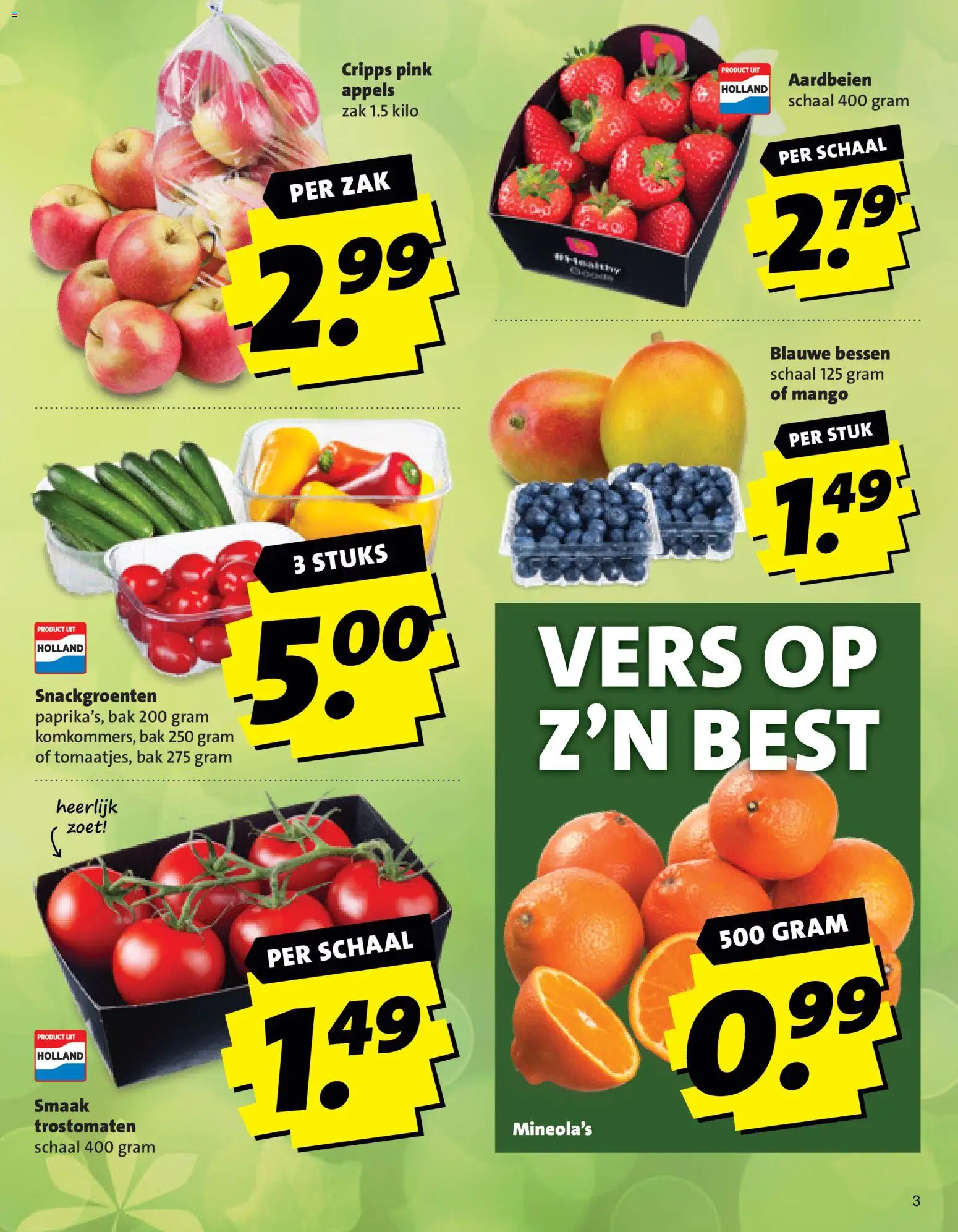 {H1} | Pagina: 3 | Producten: Appels, Aardbeien, Schaal, Zak