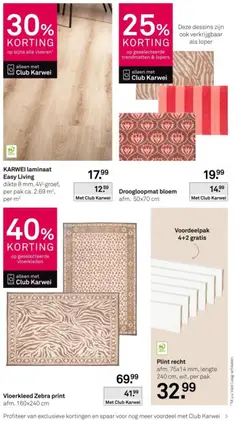 KARWEI folder - Voorbeeld van een folder van KARWEI, geldig van 08.06.2026 | Pagina: 12 | Producten: Vloerkleden