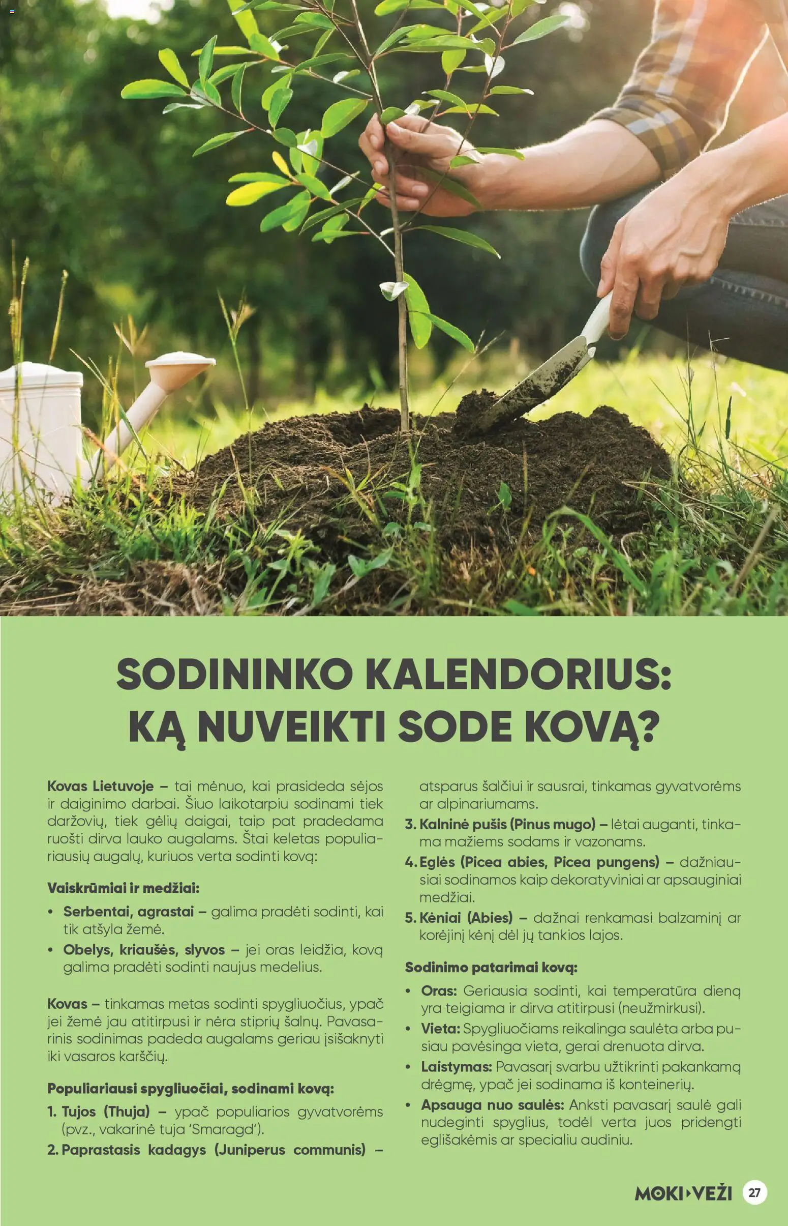 MOKI VEŽI akcijos nuo 05.03.2026 | Puslapis: 27