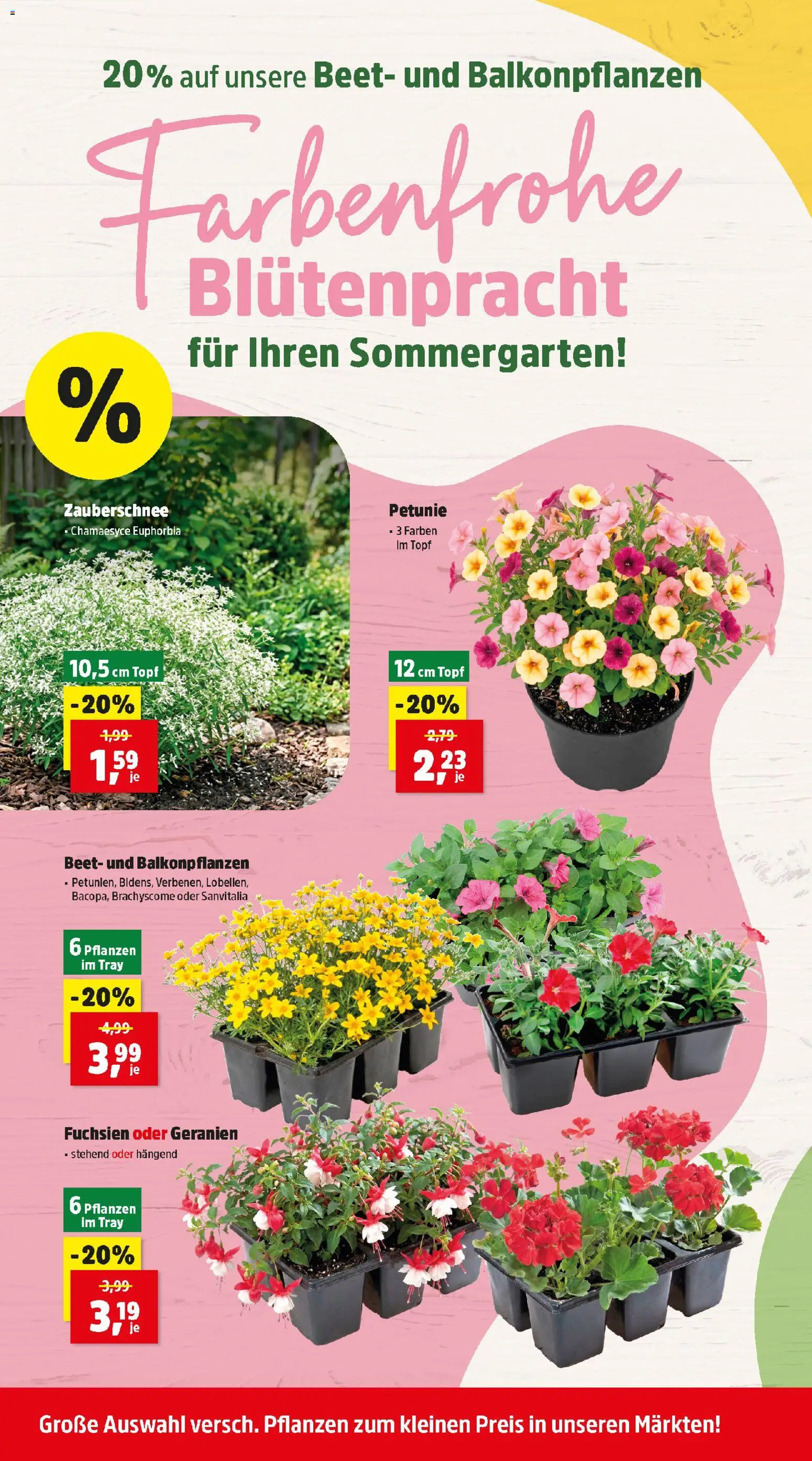 Thomas Philipps Flugblatt gültig ab 08.06.2026 | Seite: 6