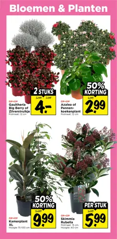 Vomar folder - Voorbeeld van een folder van Vomar, geldig van 25-10-2026 | Pagina: 30 | Producten: Pannen, Bloemen