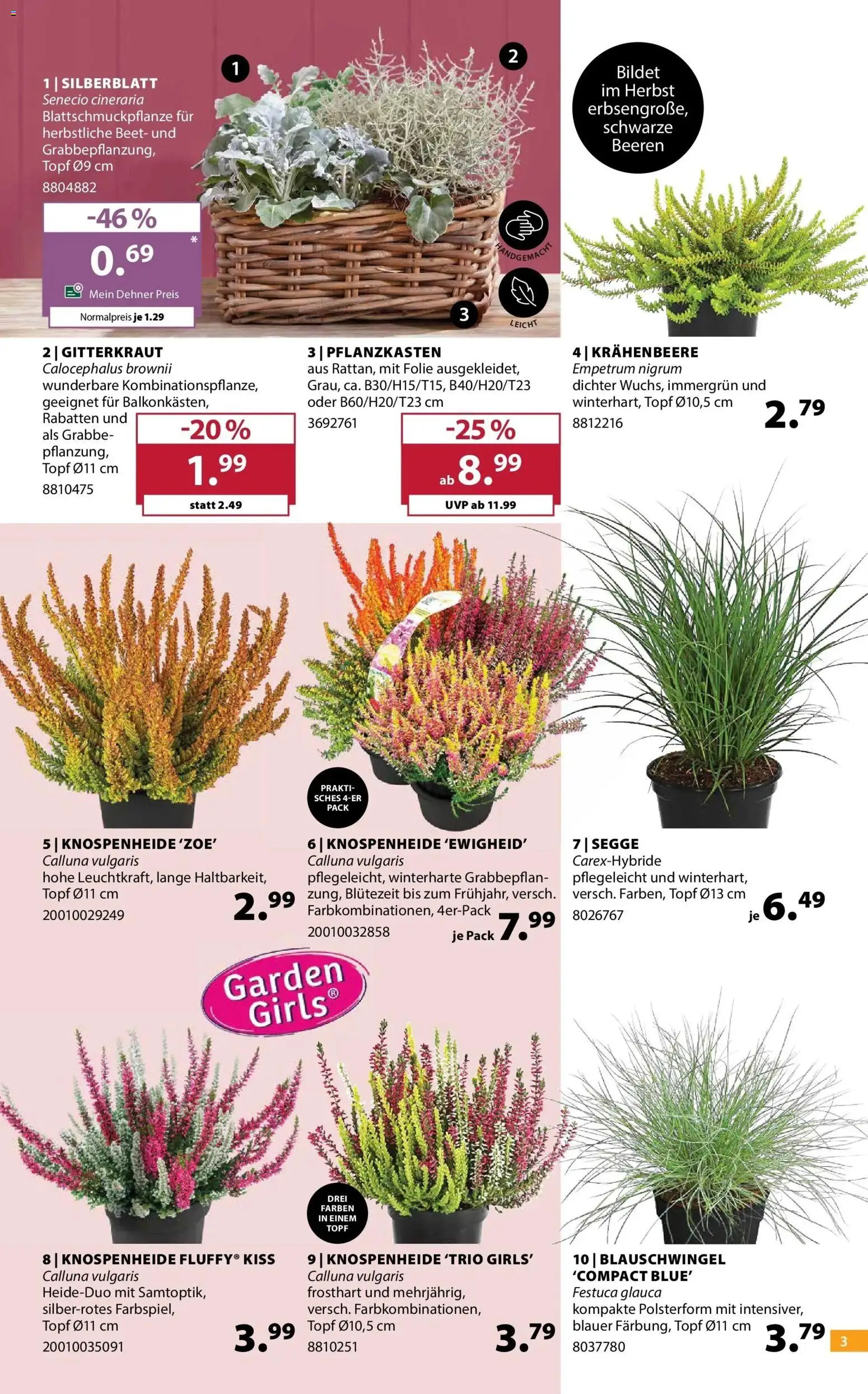 Dehner Garten & Zoo von 14.10.2026 - Aktuelle Angebote | Seite: 3