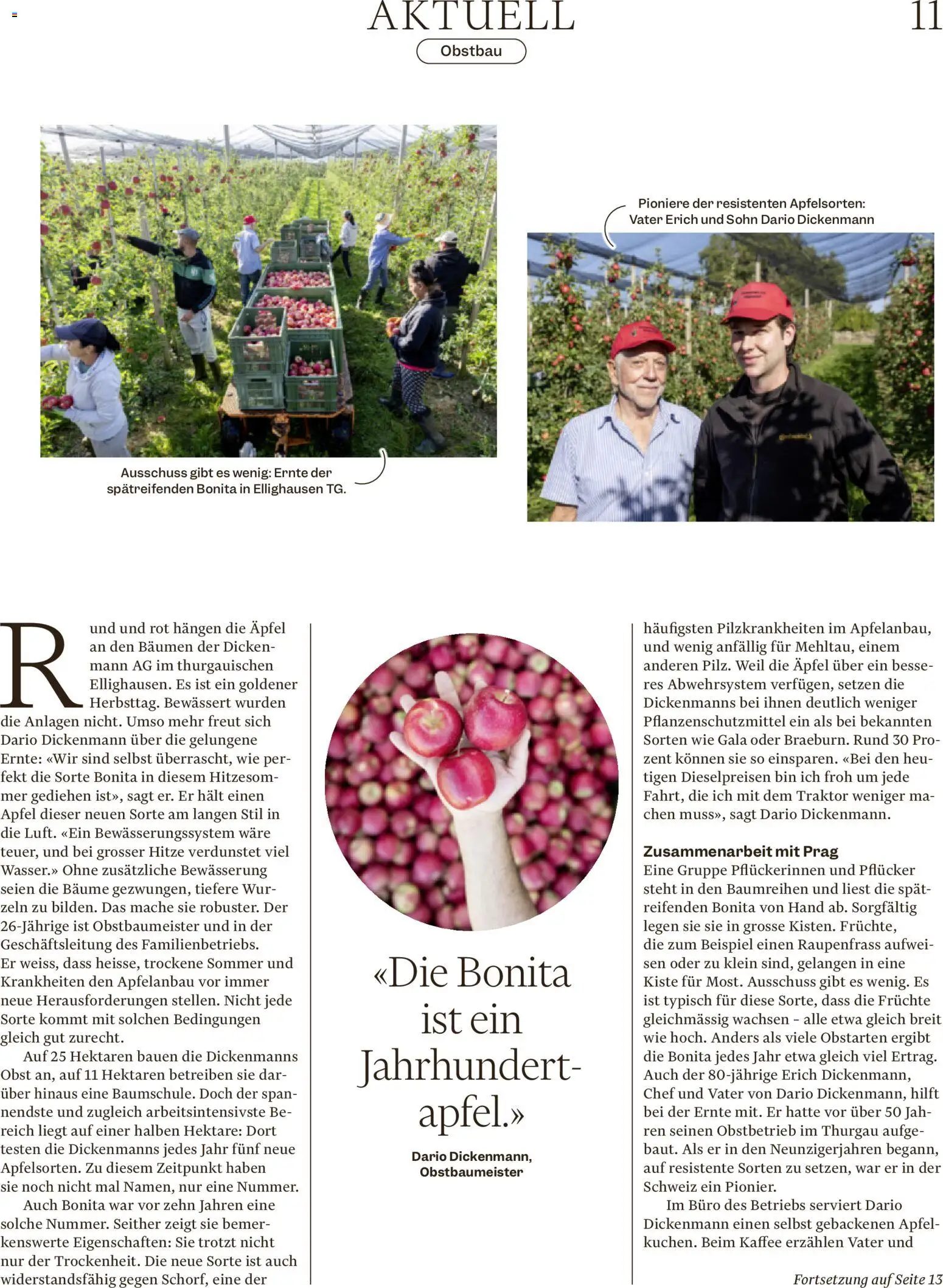 Migros aktionen Magazine – gültig ab 21.10.2026 | Seite: 11