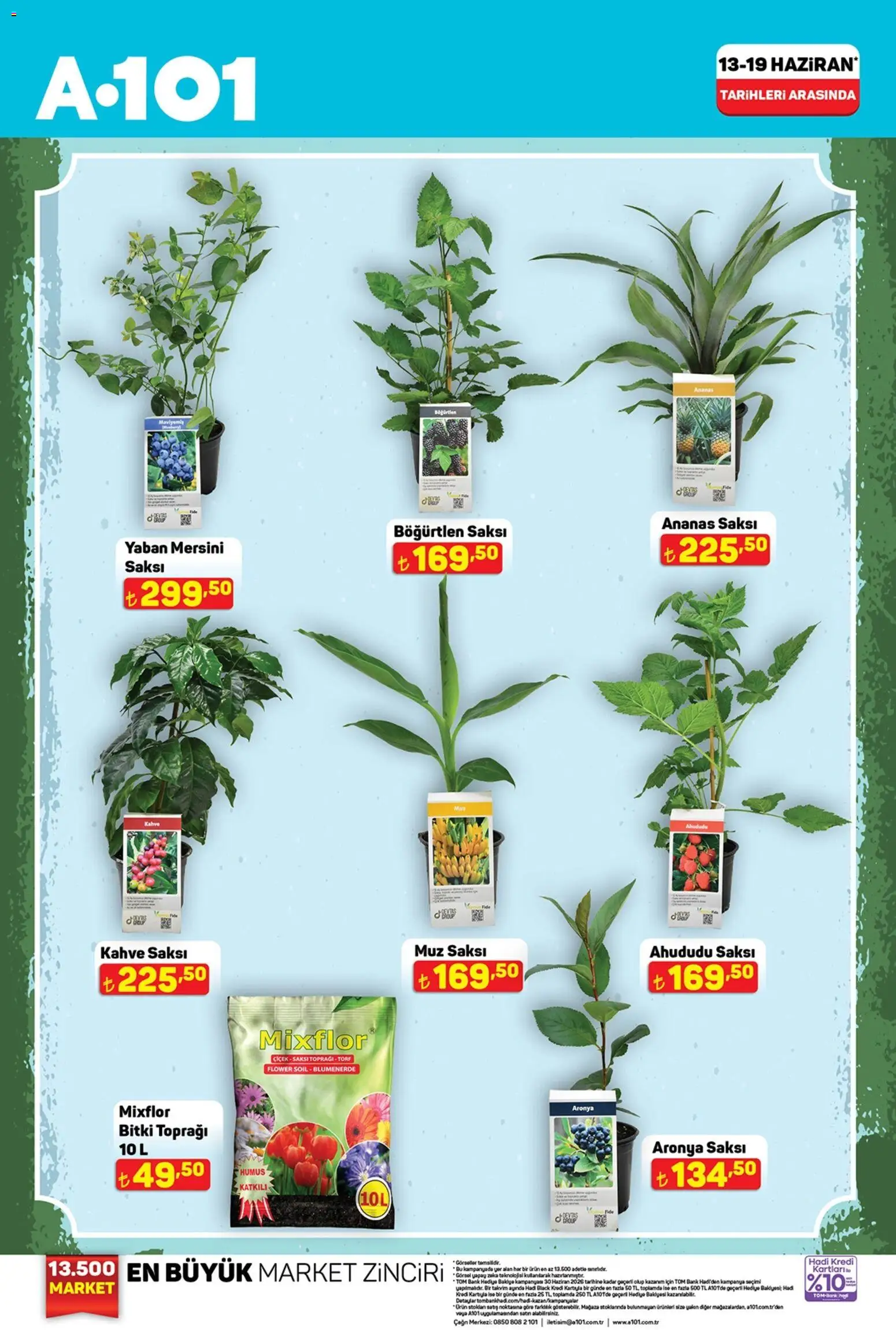 A101 Katalog - 13.06.2026 tarihinden itibaren geçerlidir | Sayfa: 4 | Ürünler: Muz, Ananas, Böğürtlen, Ahududu
