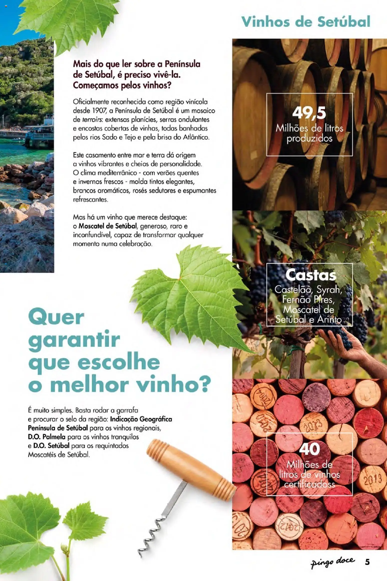 Pingo Doce Vinhos de Setúbal Açores │ válido de 07.05.2026 | Página: 5 | Produtos: Vinho