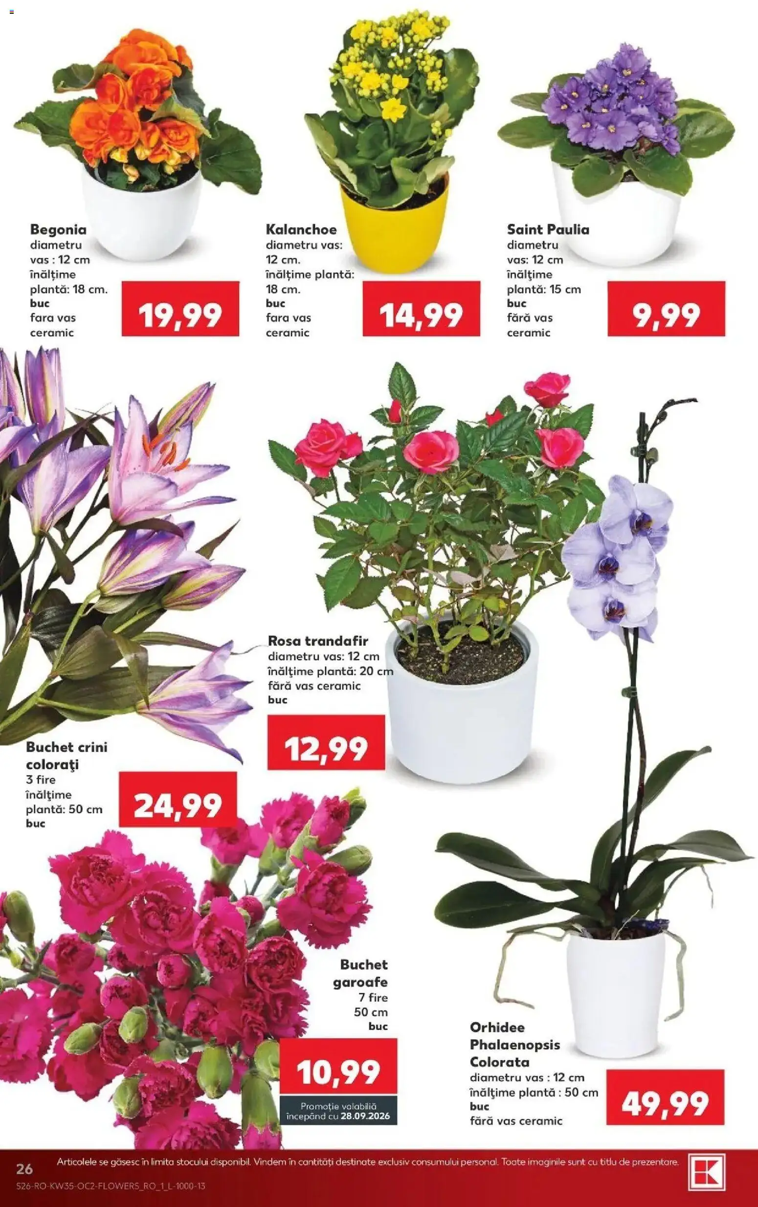 Kaufland Arad 26.08.2026 - Revista si Oferta | Pagină: 26 | Produse: Trandafir, Orhidee