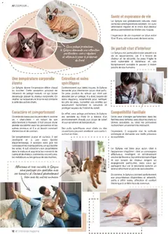 VillaVerde - Prévisualisation de VillaVerde catalogue animalerie valide à partir de 28/05/2026 | Page: 12 | Produits: Joueur, Mais, Vêtements, Magazine