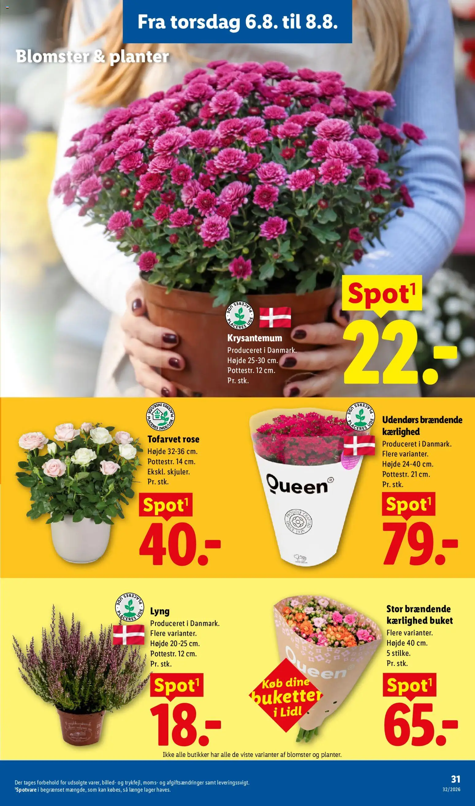 Lidl tilbudsavis – gyldig fra 02/08/2026 | Side: 11 | Produkter: Pesto, Flåede Tomater, Rom, Søm