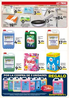 Vista previa Froiz - Folleto Cash válido desde el 28.04.2026 | Página: 13