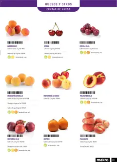 Vista previa Makro - Especial Frutas y Verduras Península válido desde el 05.01.2026 | Página: 69
