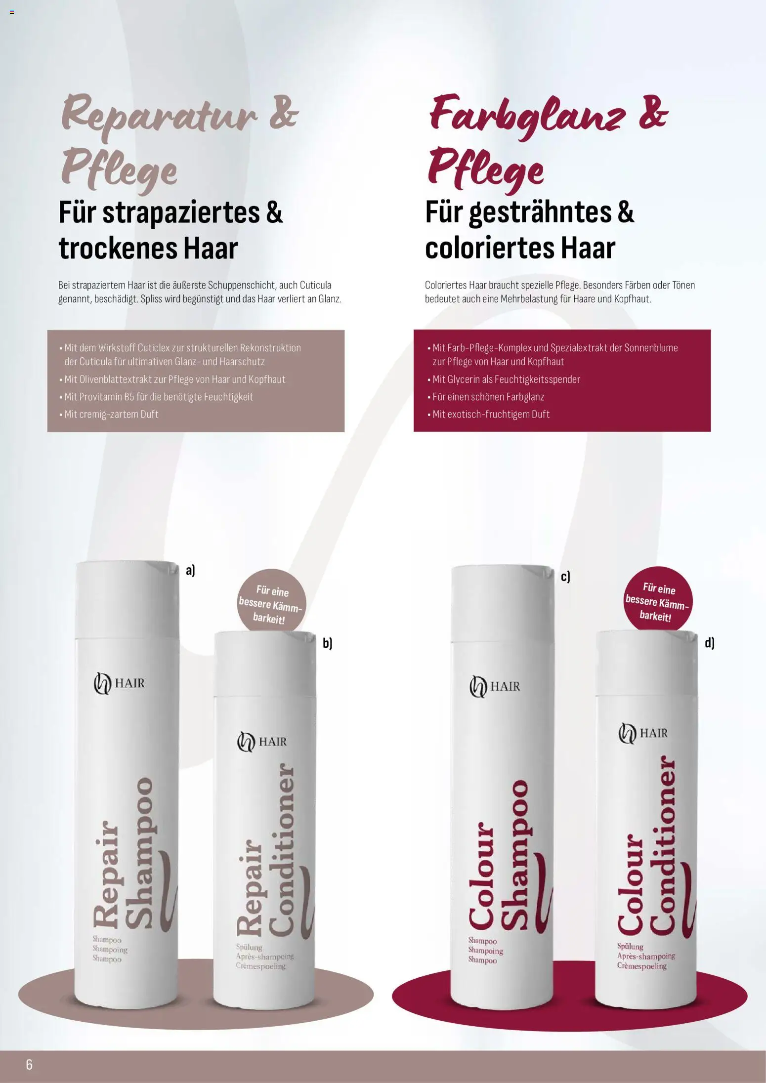Katalog ProWin New Wellness Oktober 2026 / März 2027 – gültig ab 01.10.2026 | Seite: 6