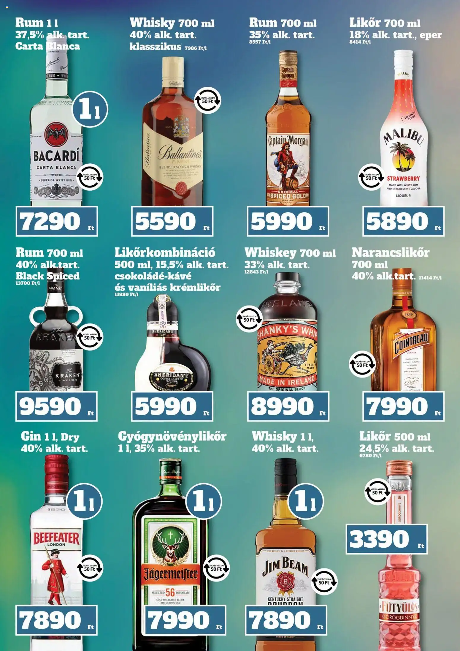 Family Diszkont akciós ujság - amely érvényes a következő dátumtól: 18.06.2026 | Oldal: 13