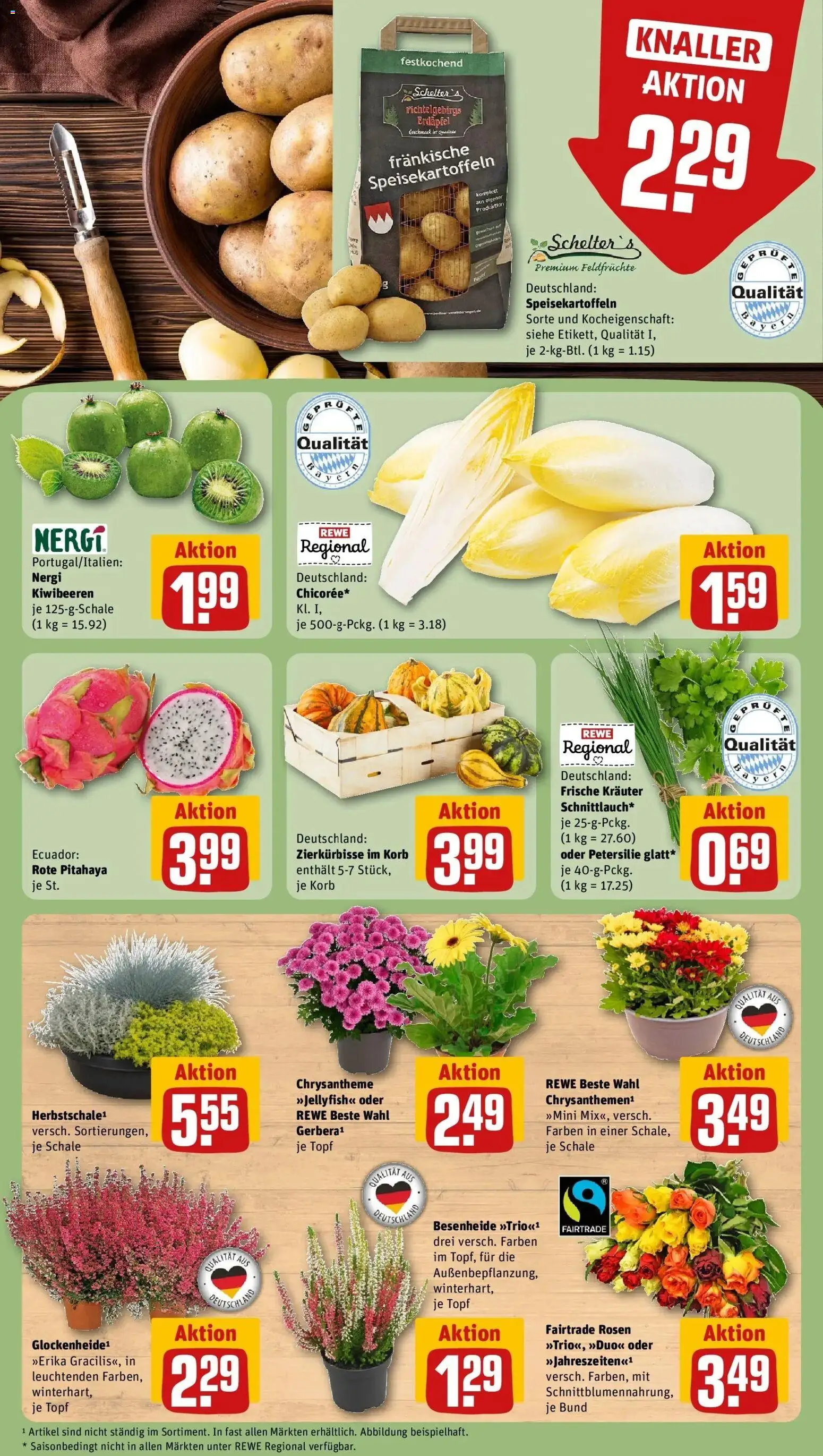REWE Prospekt ab 21.09.2026 zum Blättern » Angebote | Seite: 13 | Produkte: Korb, Petersilie