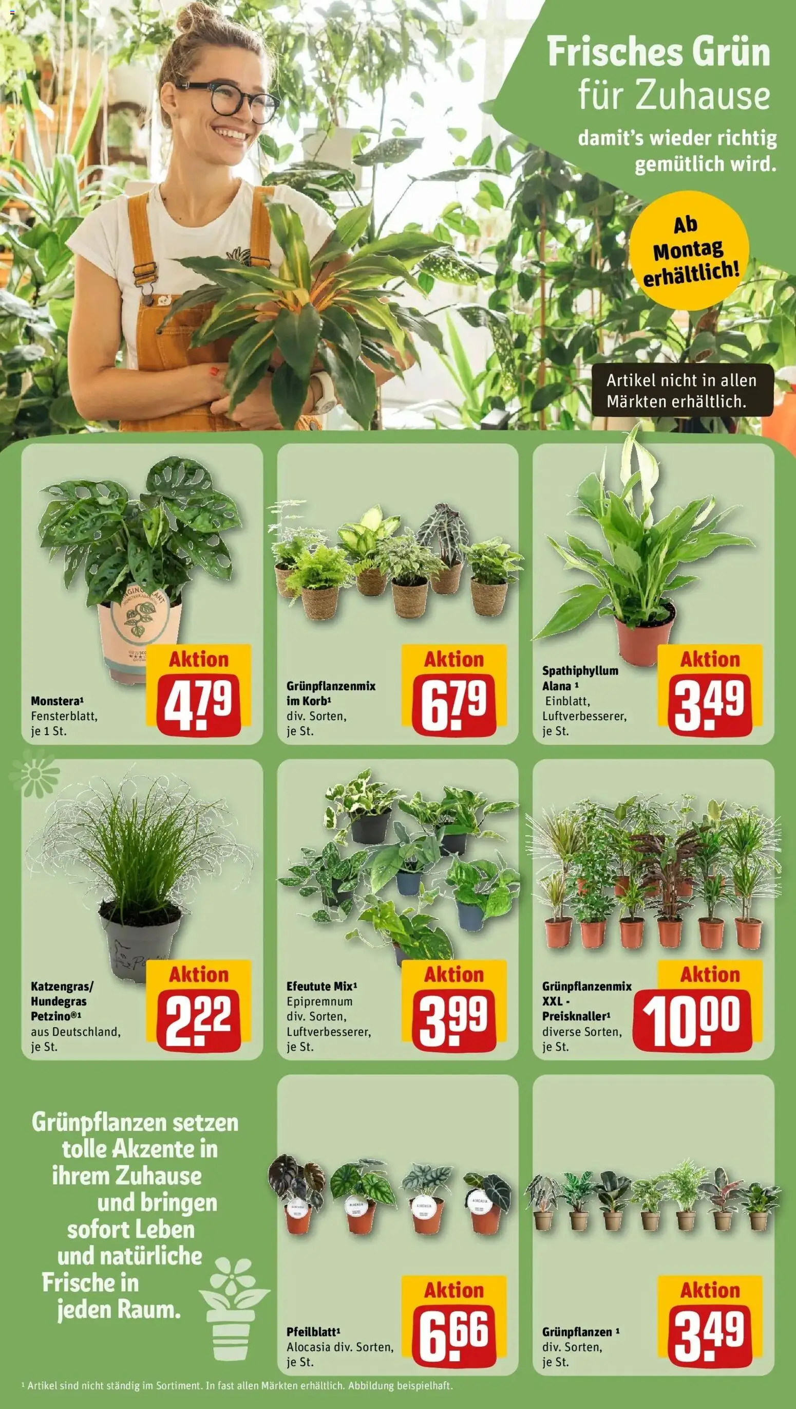 REWE Prospekt ab 17.08.2026 zum Blättern » Angebote | Seite: 10 | Produkte: Korb