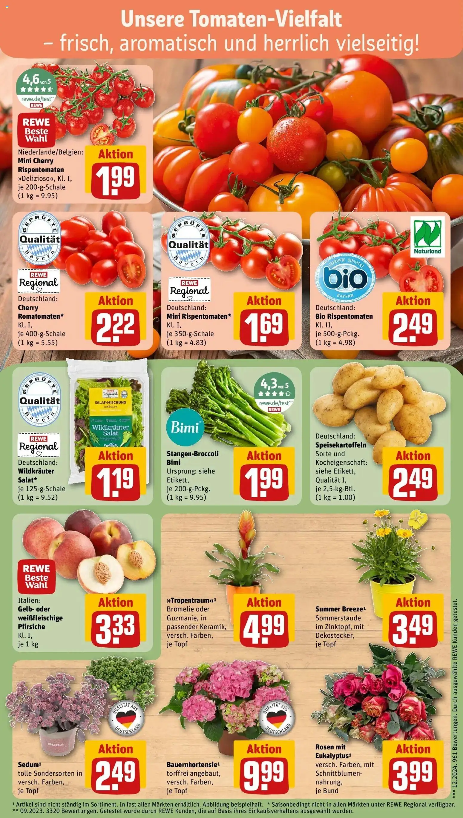 Rewe Prospekt Nürnberg – gültig ab 13.07.2026 | Seite: 7 | Produkte: Salat