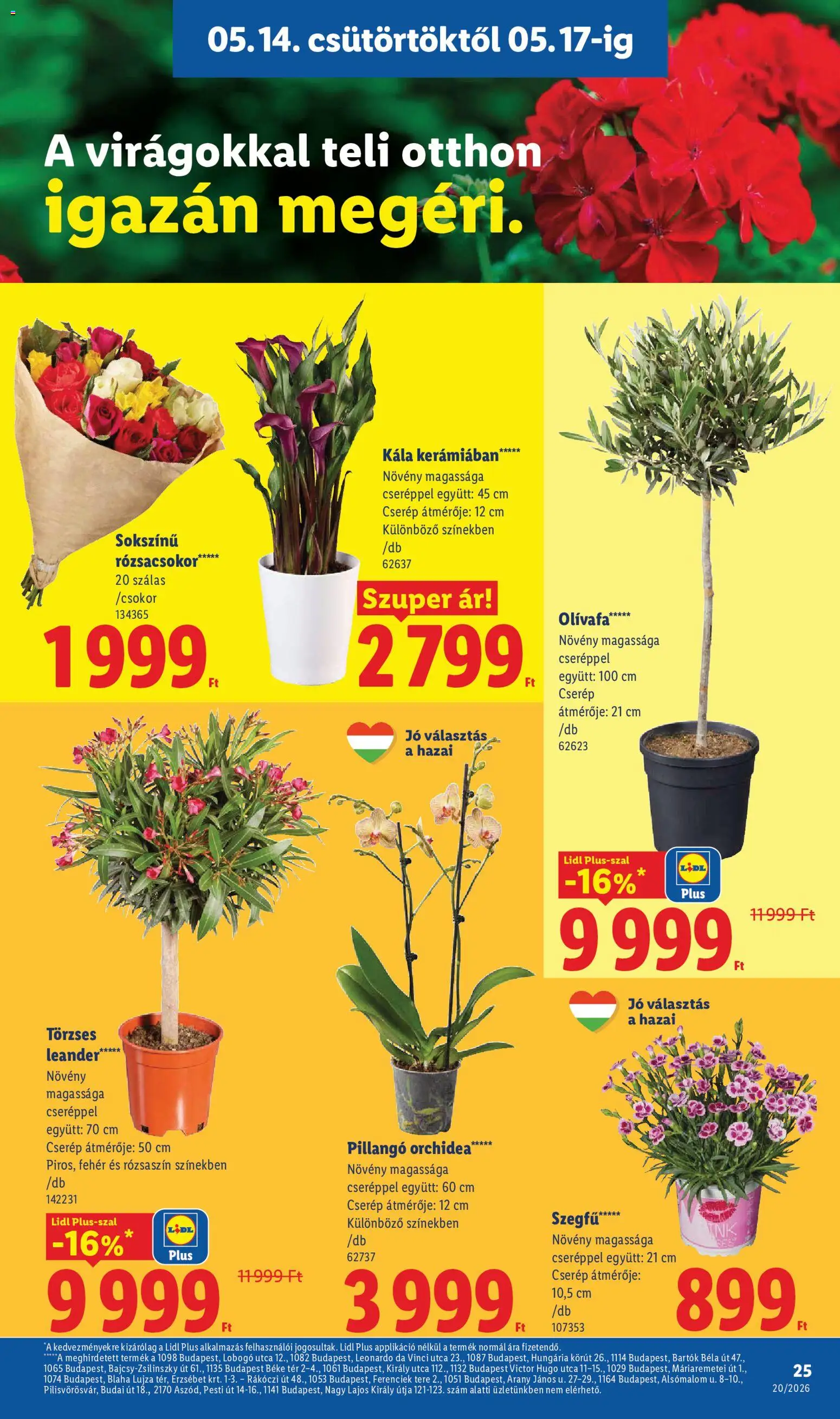 Lidl akciós ujság - amely érvényes a következő dátumtól: 14.05.2026 | Oldal: 25 | Termékek: Orchidea