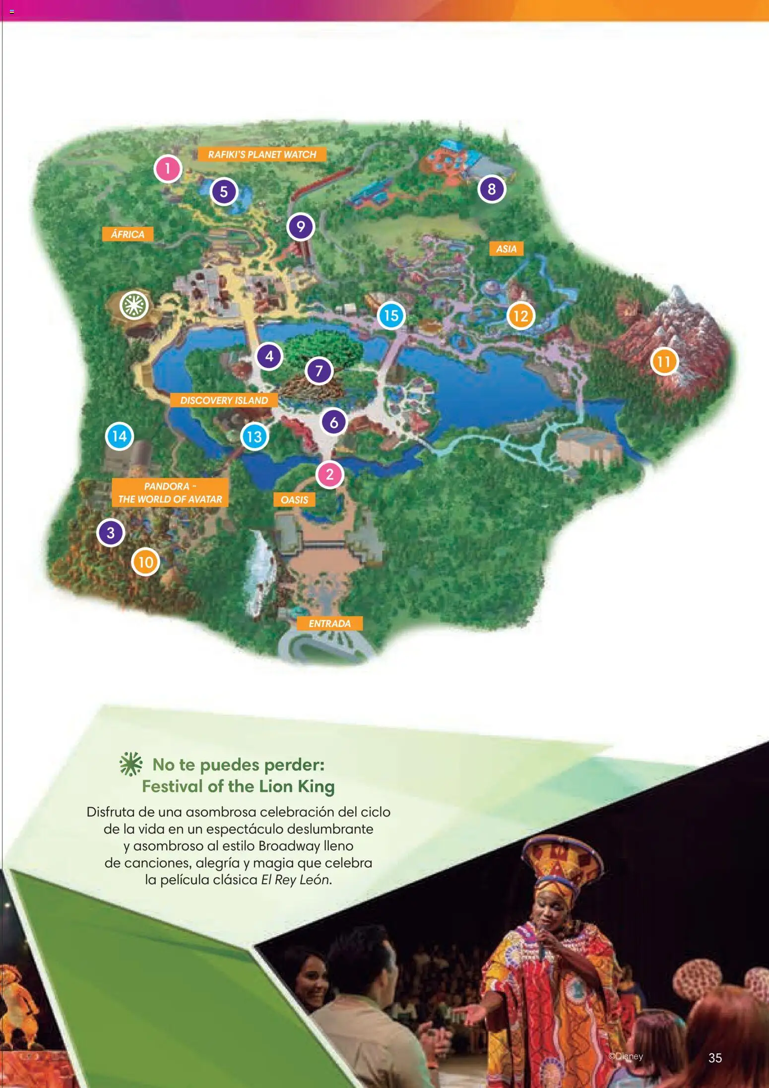 Viajes El Corte Inglés Folleto Walt Disney World │ válido desde el 03/12/2025 | Página: 35 | Productos: Té