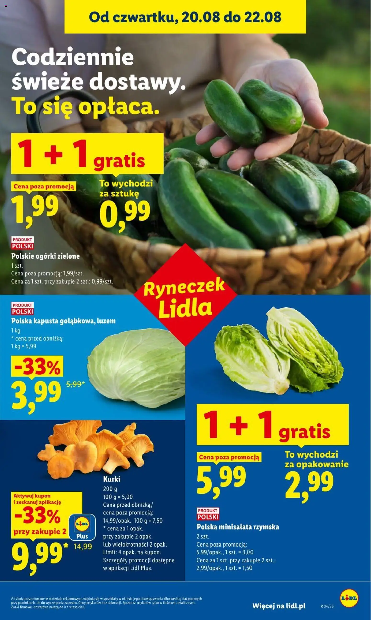 Lidl gazetka od 20.08.2026 | Strona: 43 | Produkty: Kapusta, Kurki, Ogórki
