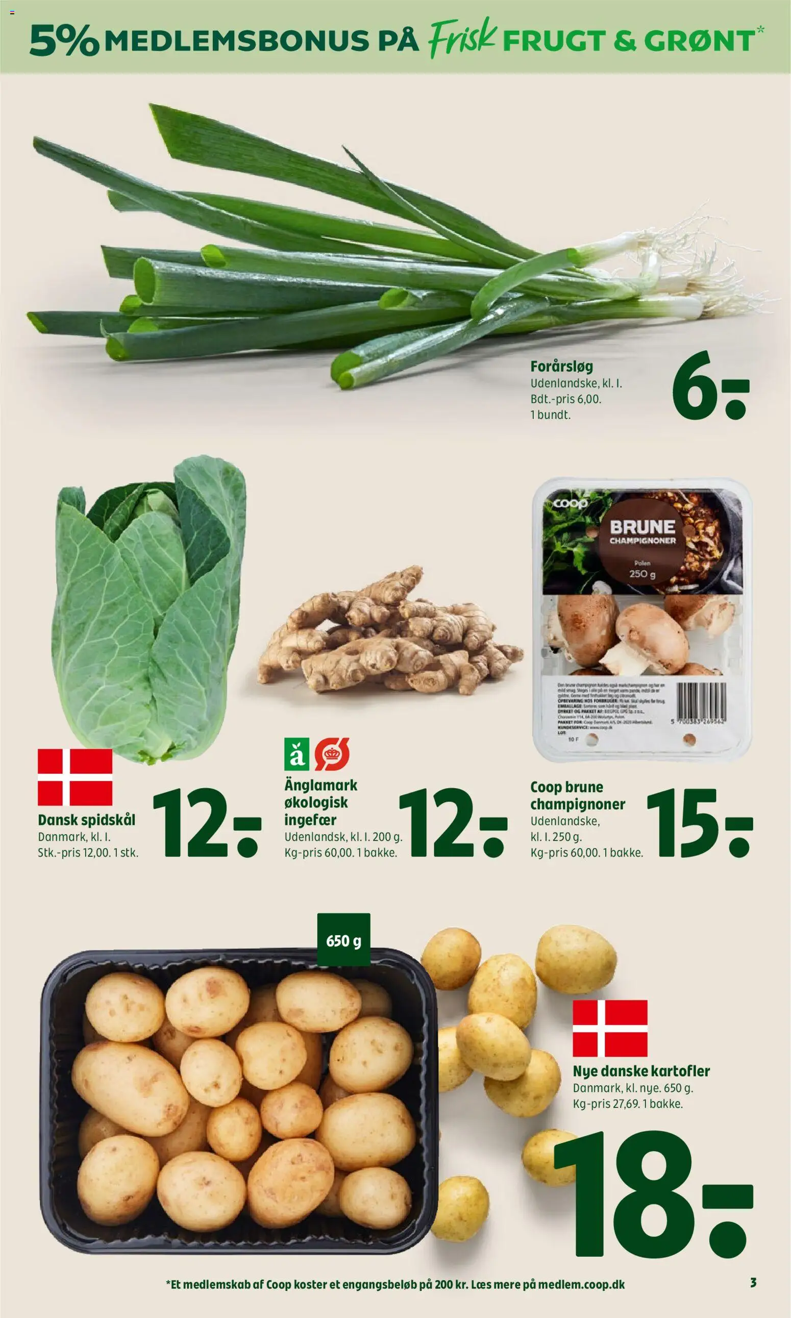 Coop 365 tilbudsavis – gyldig fra 13/08/2026 | Side: 4 | Produkter: Ingefær, Kartofler, Forårsløg, Spidskål