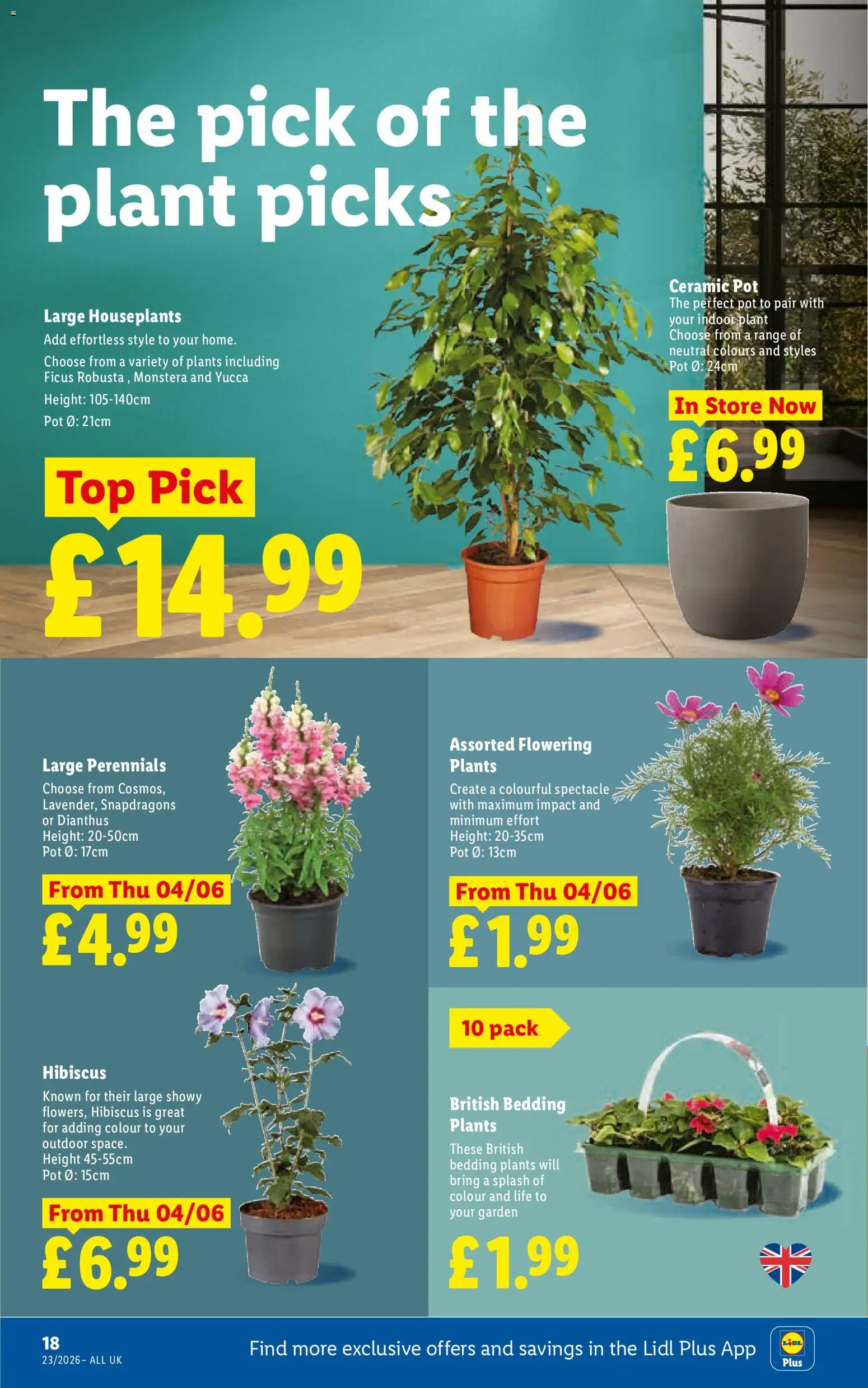 {H1} | Page: 20 | Products: Pot, Ceramic pot