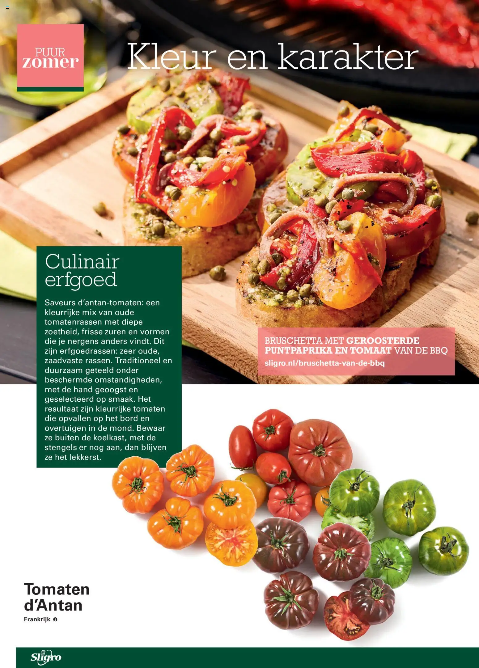 {H1} | Pagina: 10 | Producten: Tomaat, Tomaten, Bord