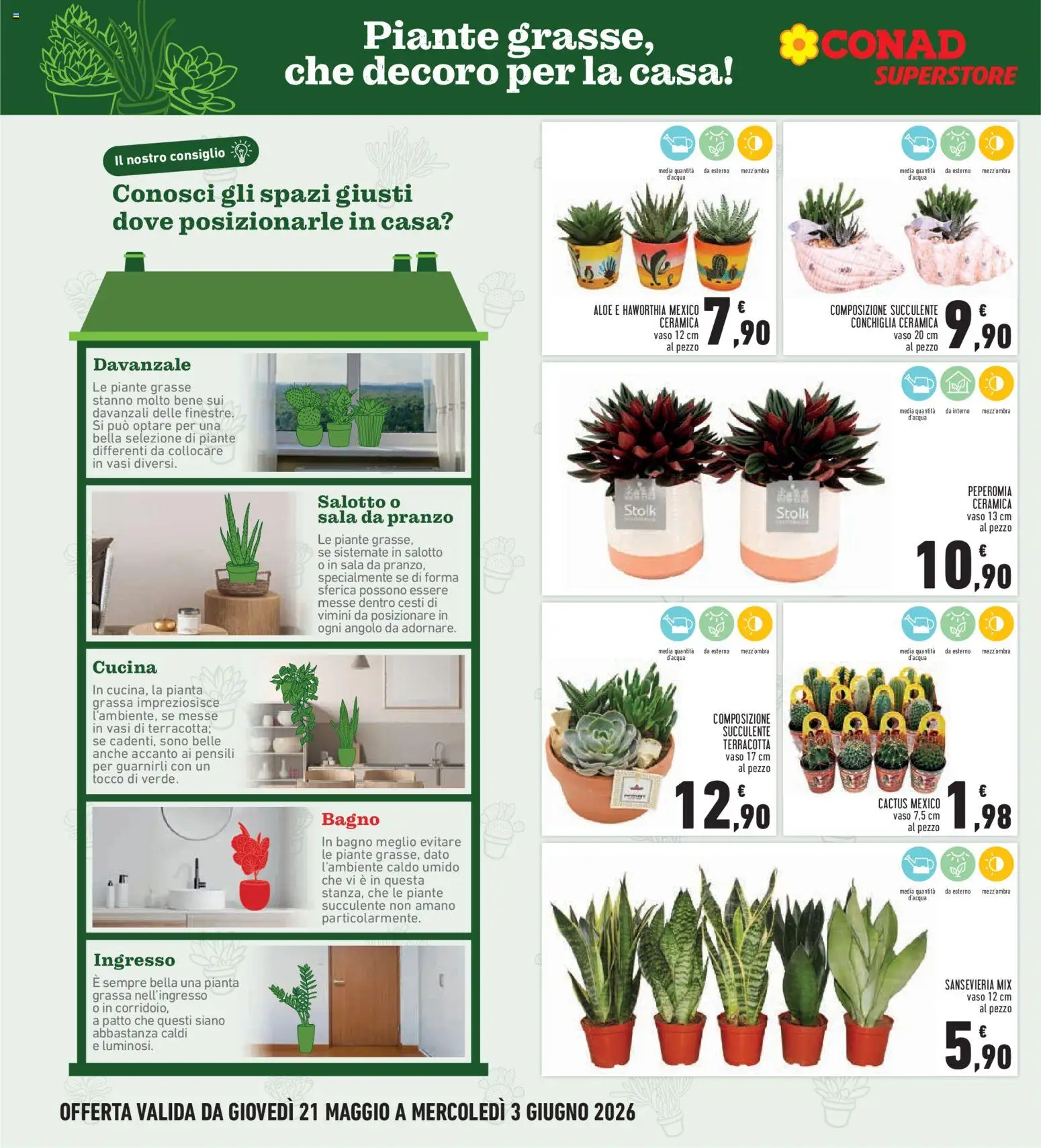 Volantino Conad del 21.05.2026 | Pagina: 26 | Prodotti: Cactus, Bagno, Vaso