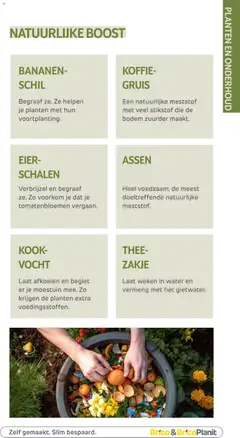 Brico Plan-it Tuincatalogus - Voorbeeld van een folder van Brico Plan-it, geldig van 10.03.2026 | Pagina: 146 | Producten: Bananen, Thee, Boost, Koffie
