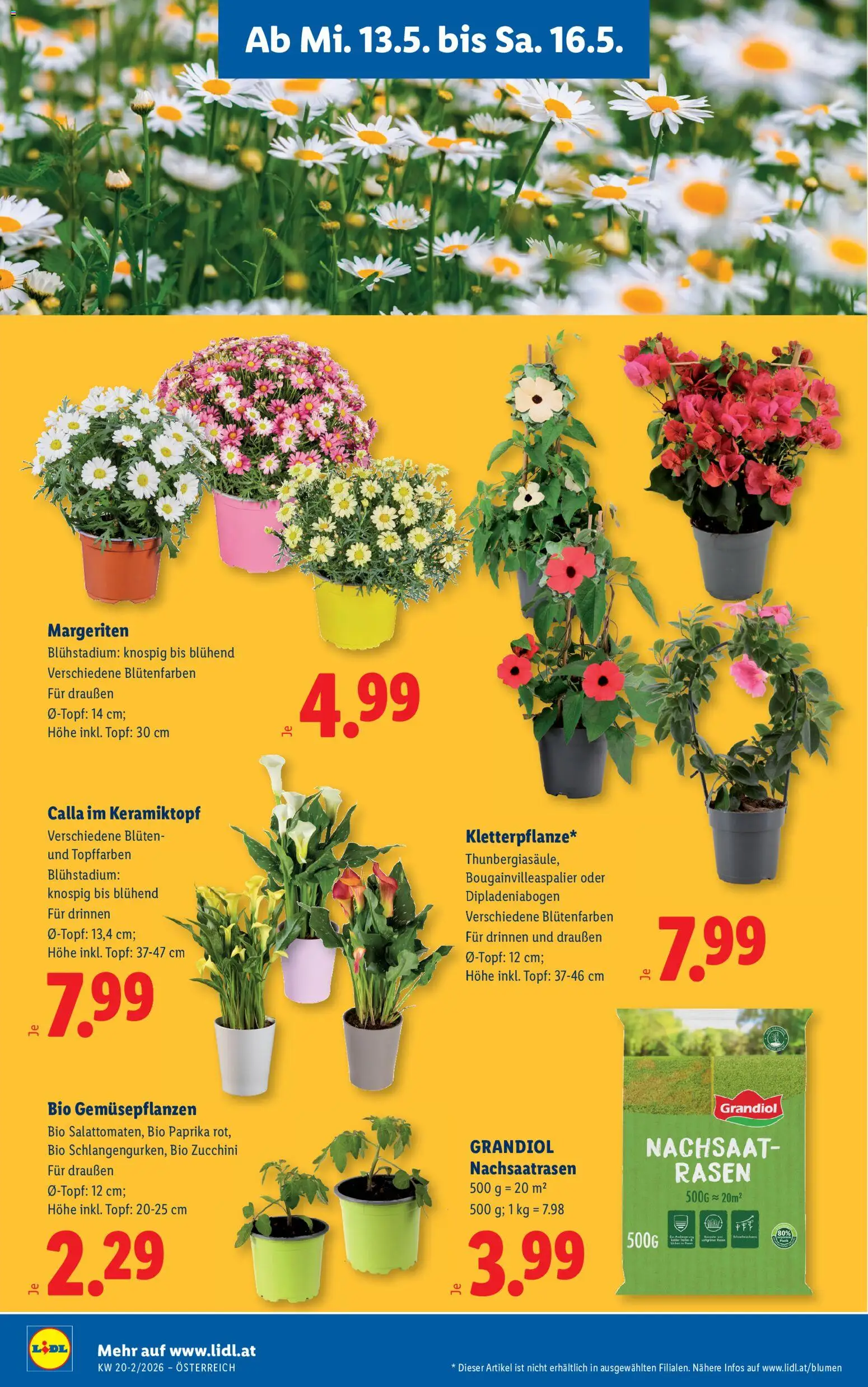 Lidl Flugblatt - Eisenstadt, Ebenfurth, Mattersburg gültig ab 13.05.2026 | Seite: 30