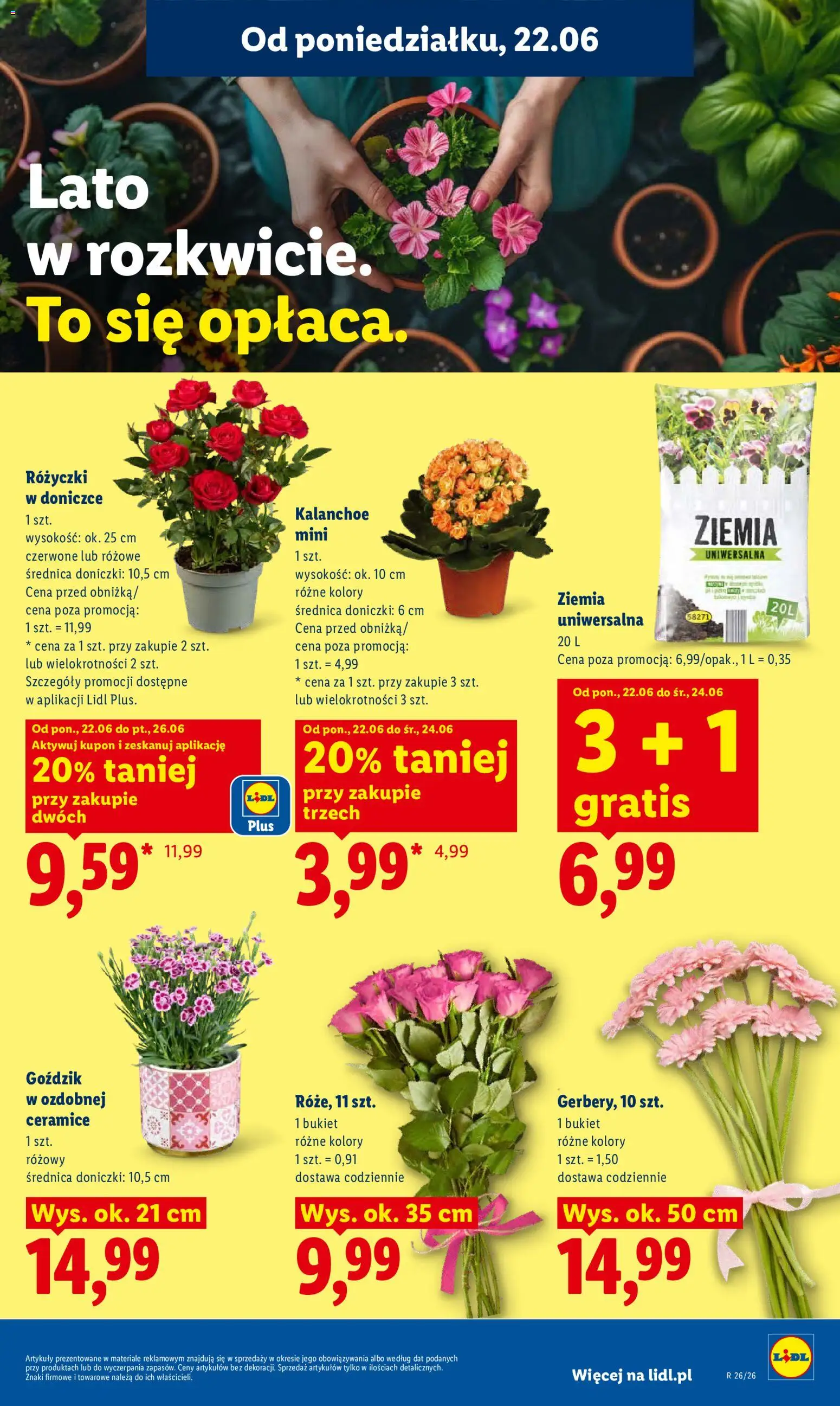 Lidl Polsko leták od 22.06.2026 | Strana: 87