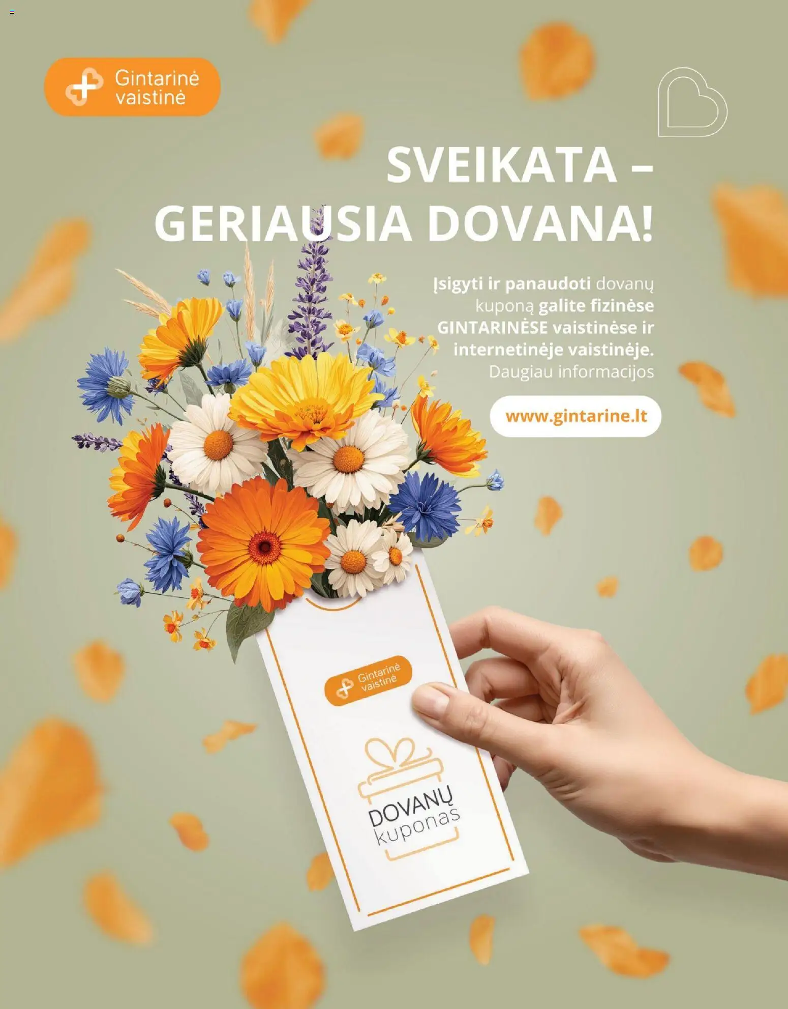 Gintarinė akcijos nuo 2026.08.01 | Puslapis: 23