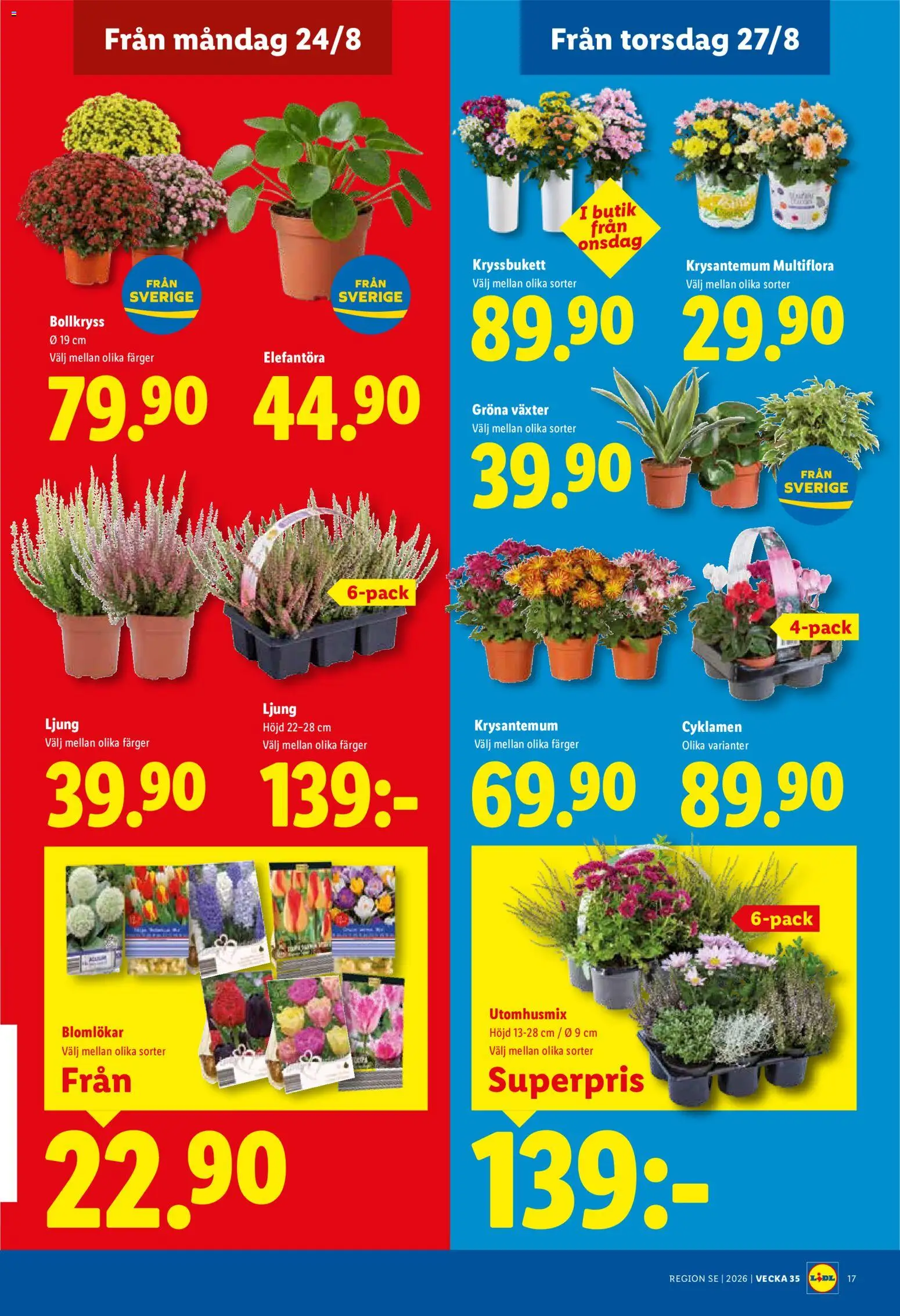 Lidl reklamblad aktuell från 24/08/2026 | Sida: 19 | Produkter: Ljung
