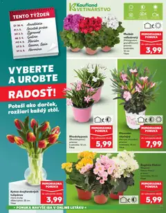 Kaufland SK akciós újság - amely érvényes a következő dátumtól: 30.04.2026 | Oldal: 13 | Termékek: Só