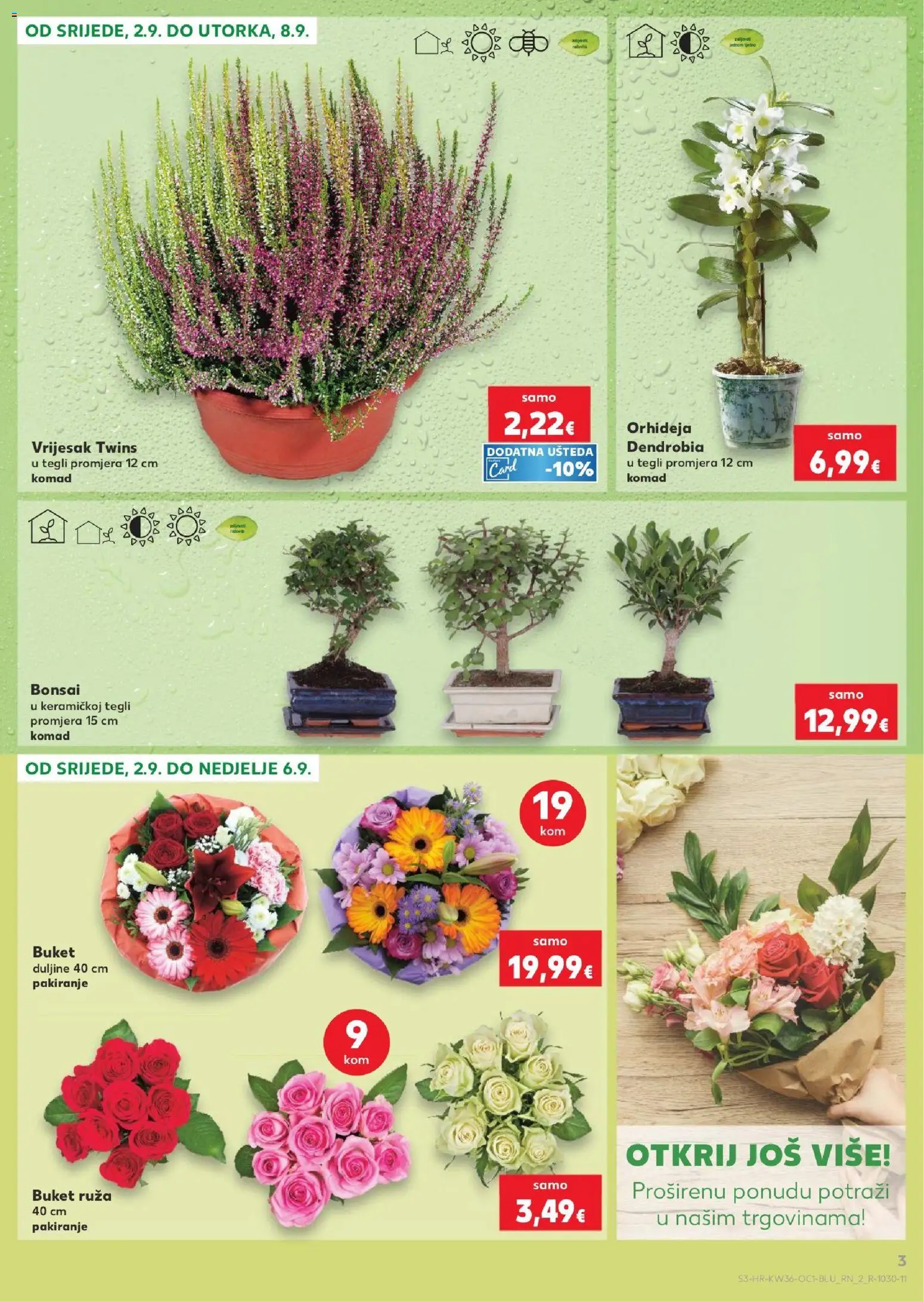 Kaufland katalog | vrijedi od 02.09.2026 | Stranica: 3 | Proizvodi: Orhideja, Vrijesak, Buket, Ruza
