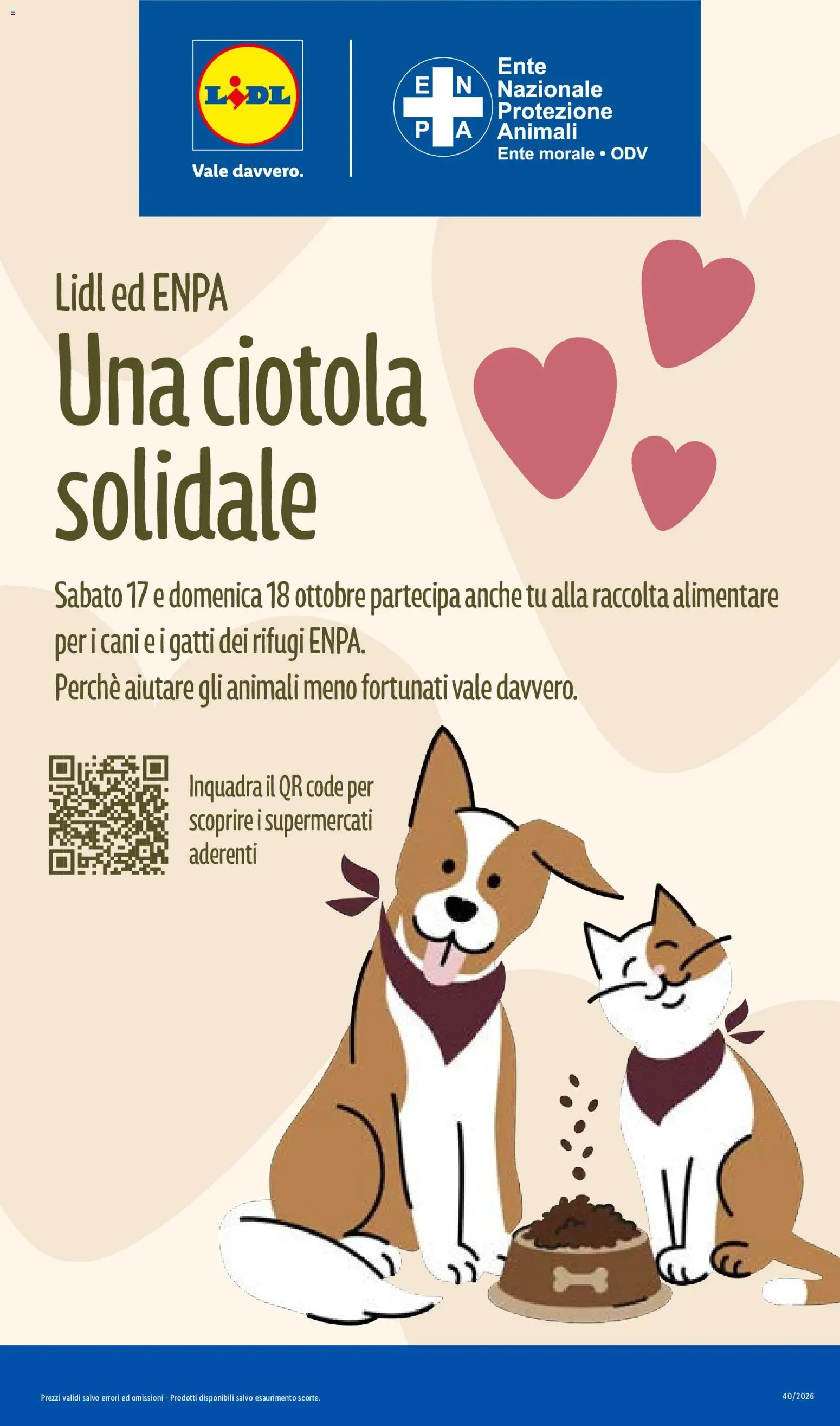 Volantino Lidl del 15/10/2026 | Pagina: 31