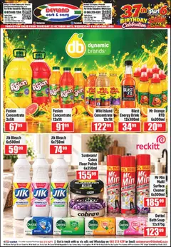 Devland specials catalogue – valid from 29/10/2026 | Page: 5 | Products: Bleach, Beer, Lemon, Peach