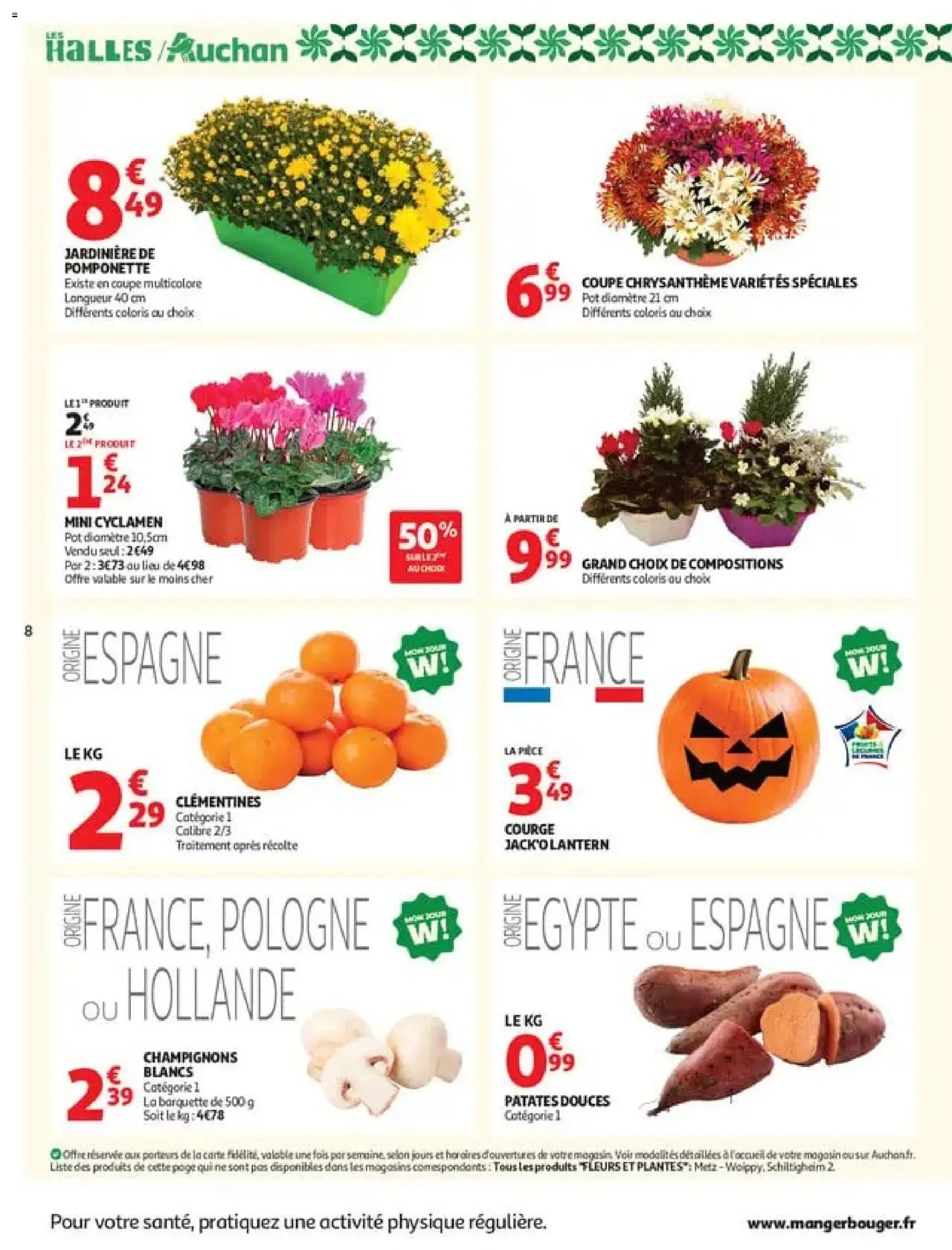 {H1} | Page: 8 | Produits: Cyclamen, Chrysanthème, Clementines, Fleurs et plantes
