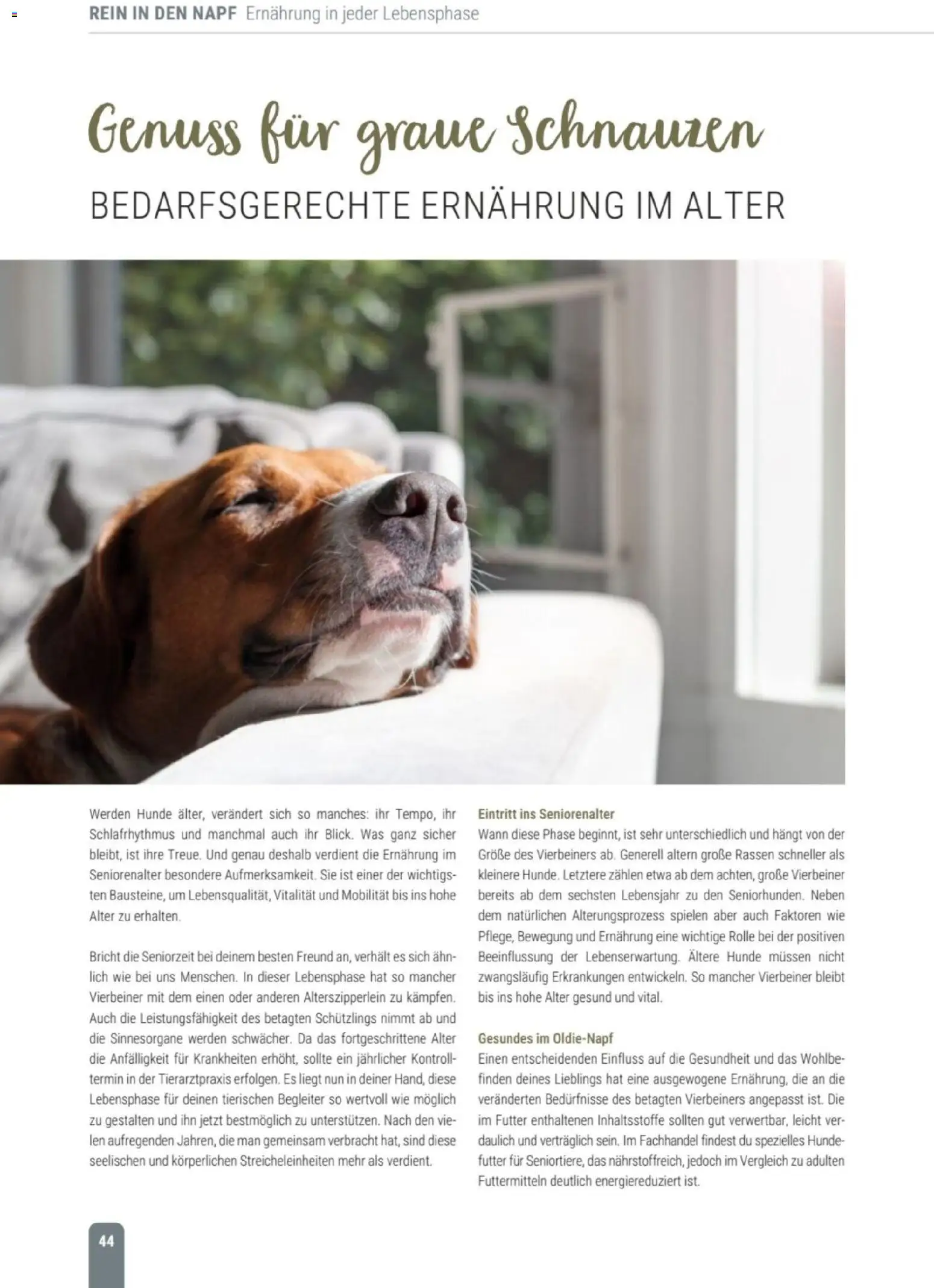 zookauf Themenkatalog Hund – gültig ab 18.05.2026 | Seite: 44