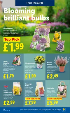 Preview of Weekly offers Lidl valid from 27/08/2026 | Page: 22
