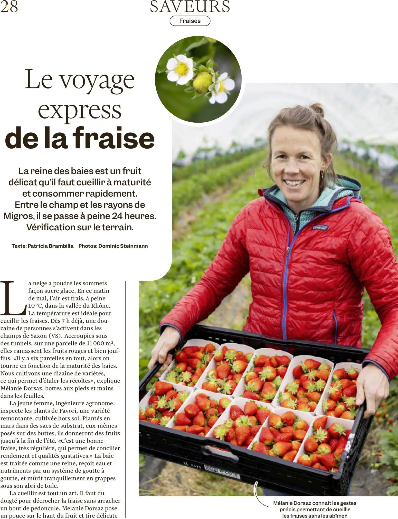 Migros aktionen Magazine FR – gültig ab 03.06.2026 | Seite: 28