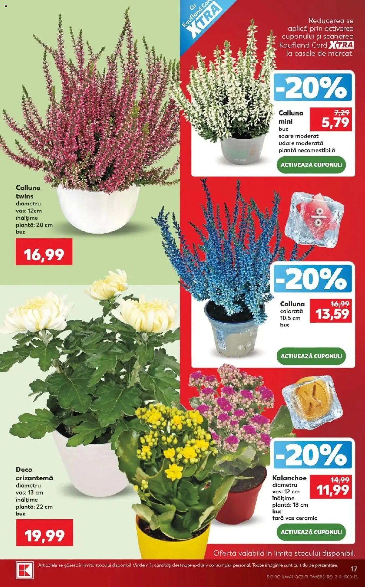 Kaufland Viseu de Sus 07.10.2026 - Revista si Oferta | Pagină: 17