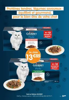 B&M - Prévisualisation de B&M catalogue valide à partir de 15/07/2026 | Page: 15 | Produits: Carottes, Lapin