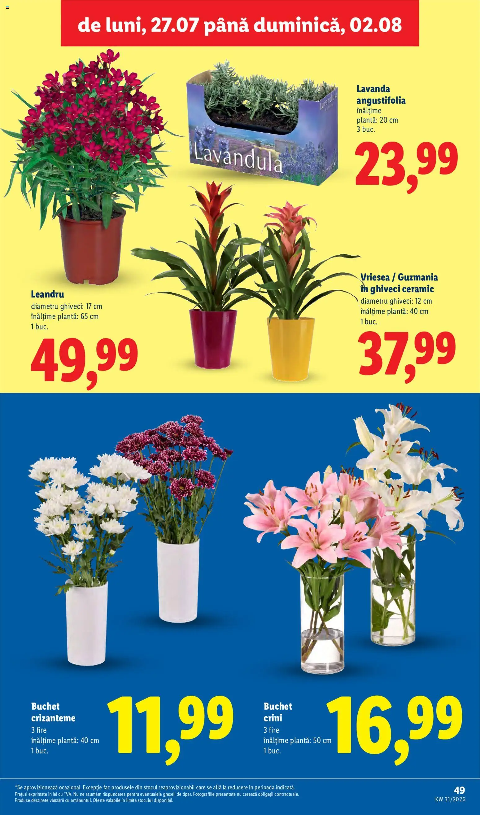 Noul catalog Lidl – valabil de la 27.07.2026 | Pagină: 49