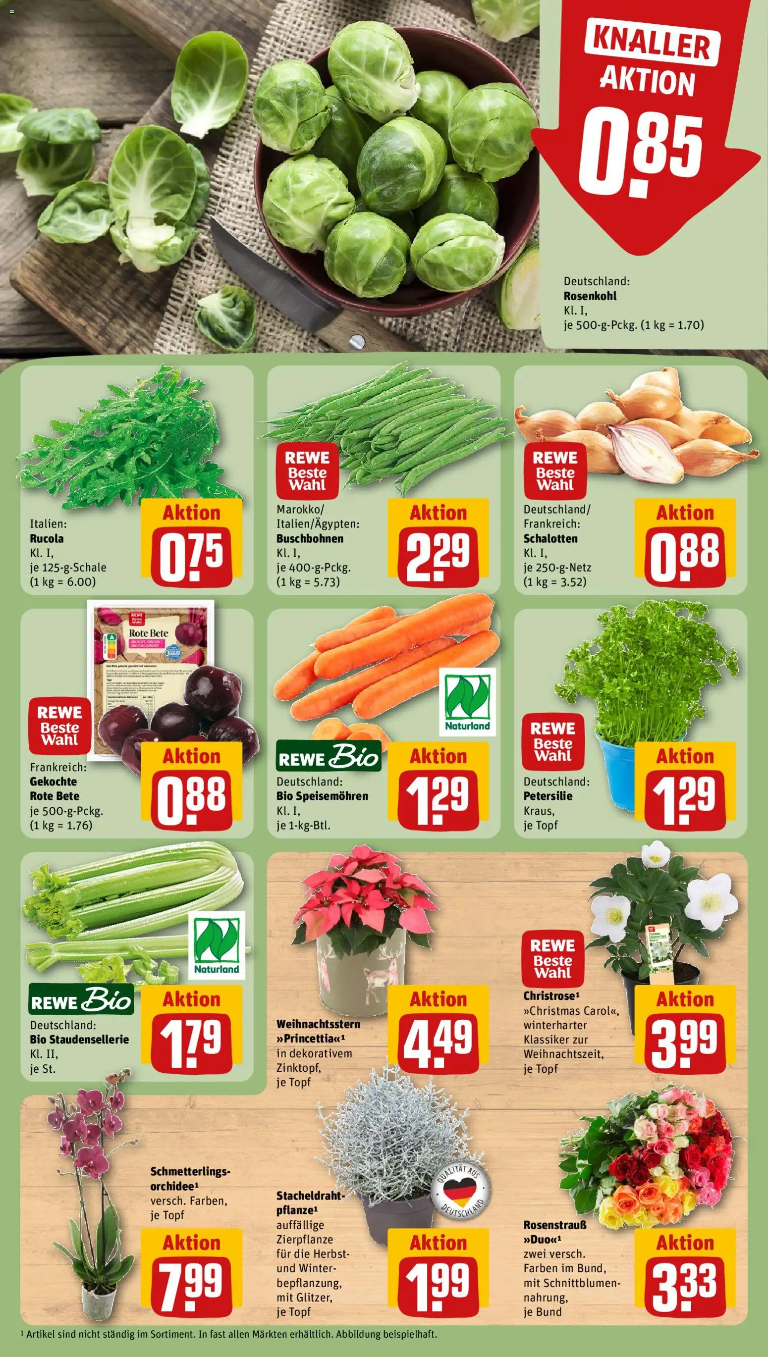 Rewe Prospekt – gültig ab 02.11.2026 | Seite: 7