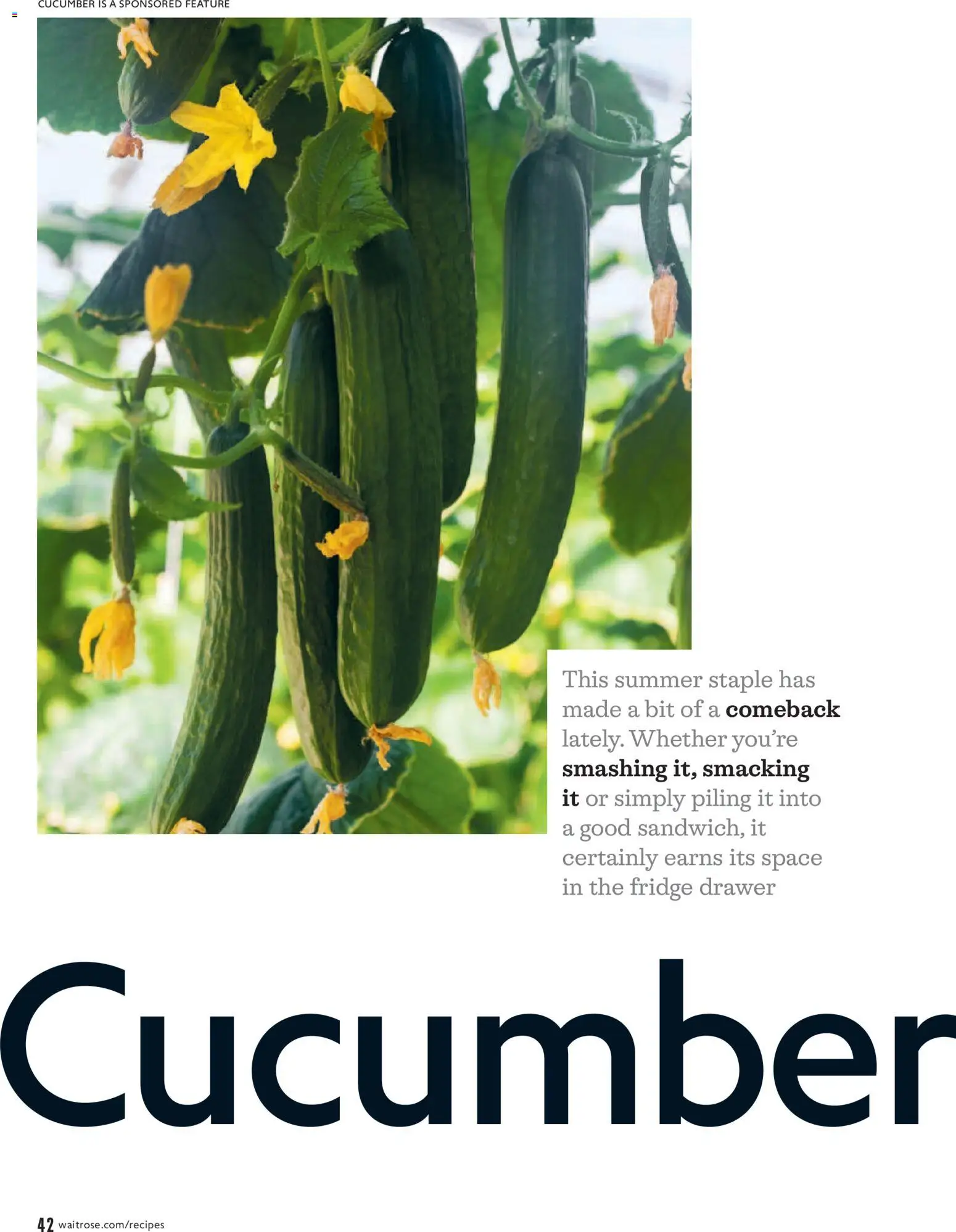 {H1} | Page: 42 | Products: Fridge, Cucumber