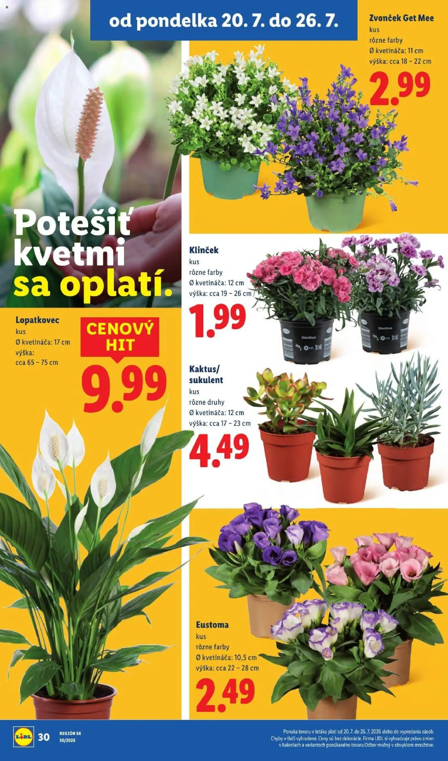 Nové Lidl akcie – leták je platný od 20.07.2026 | Strana: 51 | Produkty: Zvonček