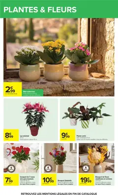 Carrefour - Prévisualisation de Mini kalanchoe, Le mini kalanchoe valide à partir de 07/07/2026 | Page: 72