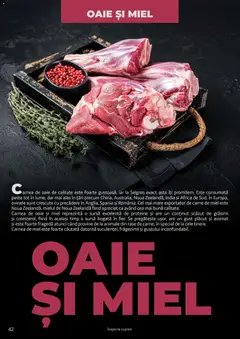 Ofertele Selgros valabile de la 25.03.2026 | Pagină: 42 | Produse: Masaüstü kılıfı, Pește